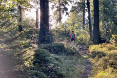 230909-12-goldsteig-wanderweg-trail-002