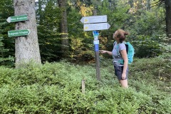 230909-12-goldsteig-wanderweg-trail-003