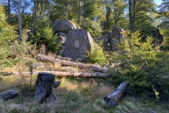 230909-12-goldsteig-wanderweg-trail-009