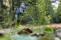 230909-12-goldsteig-wanderweg-trail-010