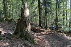 230909-12-goldsteig-wanderweg-trail-018