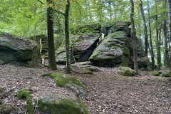 230909-12-goldsteig-wanderweg-trail-024