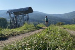 230909-12-goldsteig-wanderweg-trail-026