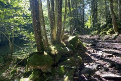 230909-12-goldsteig-wanderweg-trail-027