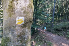 230909-12-goldsteig-wanderweg-trail-034