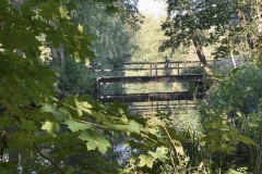 230909-12-goldsteig-wanderweg-trail-039