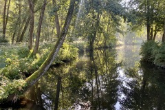 230909-12-goldsteig-wanderweg-trail-040