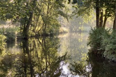 230909-12-goldsteig-wanderweg-trail-041