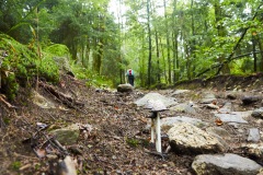 goldsteig-trail-wanderweg-dsc_4823