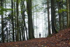 goldsteig-trail-wanderweg-dsc_4842x