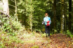 goldsteig-trail-wanderweg-dsc_4858