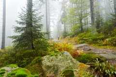 goldsteig-trail-wanderweg-dsc_4889