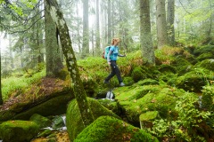 goldsteig-trail-wanderweg-dsc_4900