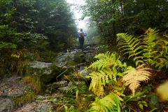 goldsteig-trail-wanderweg-dsc_4904