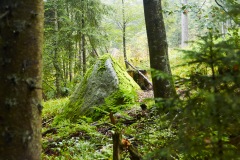 goldsteig-trail-wanderweg-dsc_4909