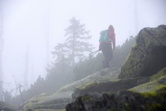 goldsteig-trail-wanderweg-dsc_4980