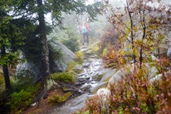 goldsteig-trail-wanderweg-dsc_5022