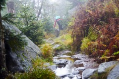 goldsteig-trail-wanderweg-dsc_5027