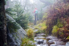 goldsteig-trail-wanderweg-dsc_5028