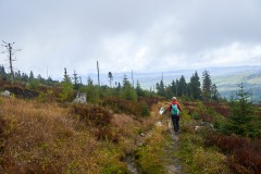 goldsteig-trail-wanderweg-dsc_5057