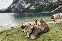 italie-dolomity-071