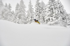 freeride-powder-gosau-200120-yabasta_cz_5184