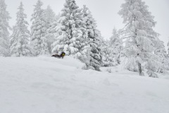 freeride-powder-gosau-200120-yabasta_cz_5193