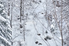 freeride-powder-gosau-200120-yabasta_cz_5302