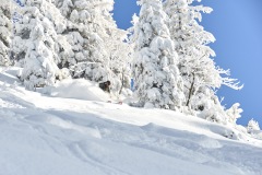 freeride-powder-gosau-200120-yabasta_cz_5329