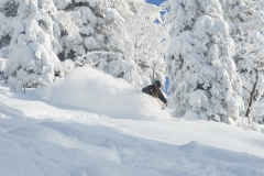 freeride-powder-gosau-200120-yabasta_cz_5330