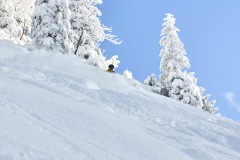 freeride-powder-gosau-200120-yabasta_cz_5340