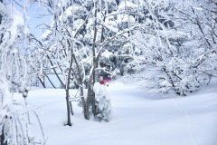 freeride-powder-gosau-200120-yabasta_cz_5412