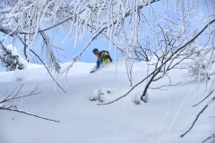 freeride-powder-gosau-200120-yabasta_cz_5424