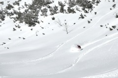 freeride-powder-yabasta-cz-dsc-0034