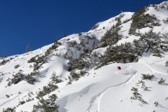 freeride-powder-yabasta-cz-dsc-0200