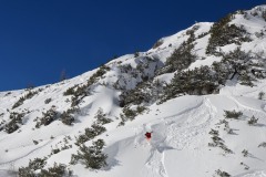 freeride-powder-yabasta-cz-dsc-0211